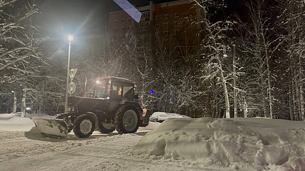 Почти 16 тысяч кубометров снега вывезли с улиц Нижнего Новгорода