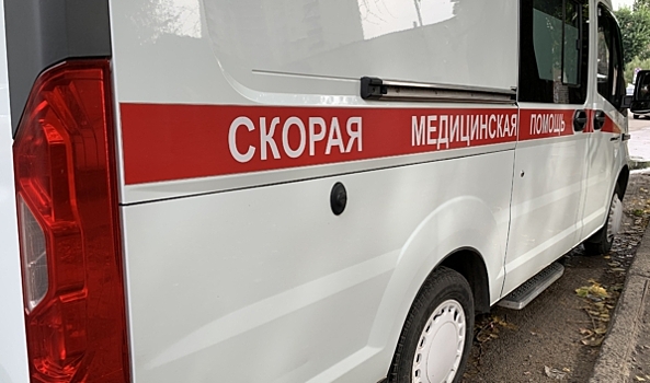 В Воронежской области водитель «Лады Гранты» сбил насмерть 8-летнюю девочку
