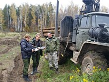 В Подмосковье с 2020 года на 15% повысят зарплату работникам лесного хозяйства