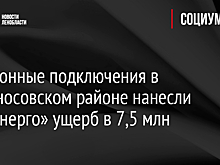Незаконные подключения в Ломоносовском районе нанесли «Ленэнерго» ущерб в 7,5 млн