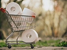 Британии грозит дефицит туалетной бумаги из-за дорогущего газа