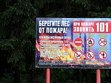 В Подмосковье усилят меры пожарной безопасности лесов 11—21 августа