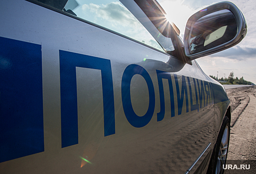 В Ростовской области задержали двух человек за нападение на участкового