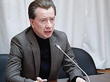 Владимир Бурматов: регионы получили дополнительные полномочия для защиты людей от нападения бездомных животных