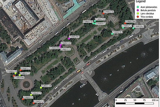 Пользу деревьев в парке Москвы изучили по-новому