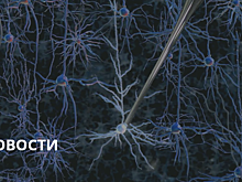Не спрятаться не скрыться: ученые научились читать мысли