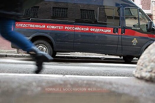 В СК подтвердили задержание подозреваемого в убийстве в Подольске