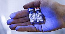 Коронавирус: Путин объявляет об эффективности вакцины еще до начала третьей фазы испытаний (Le Figaro, Франция)