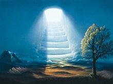 В библиотеке на Ленинградке заработала книжная выставка «Выбери жизнь»