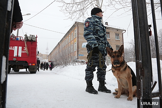 На юге РФ раскрыли схему массовой атаки лжетеррористов на школы