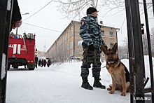 В Тобольске школы взяли под усиленную охрану полиции из-за поступающих угроз