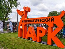 Первый чемпионат на Кубок столицы по послушанию собак пройдет 28 июня