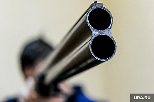 В Общественной палате призвали усложнить правила покупки оружия