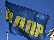ЛДПР может объединиться с другой партией