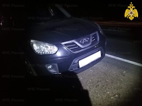 Пешеход погиб под колесами легковушки