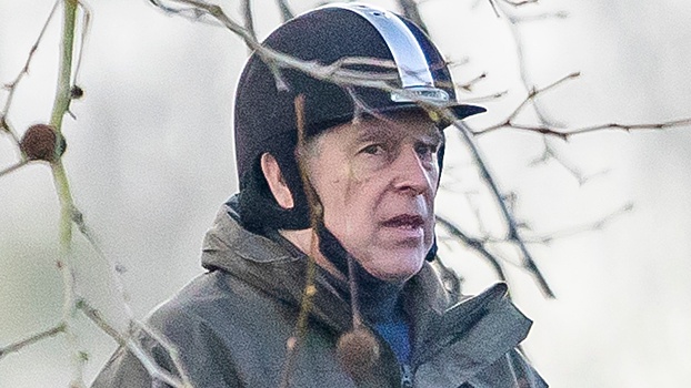 Times: Карл III поддержит решение об исключении Эндрю из престолонаследия