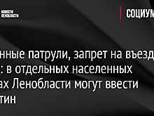 Усиленные патрули, запрет на въезд и выезд: в отдельных населенных пунктах Ленобласти могут ввести карантин
