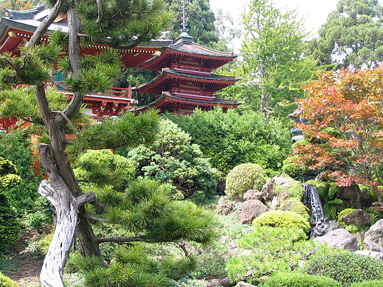 Японский чайный сад, Сан-Франциско, США. (J. ASH BOWIE)