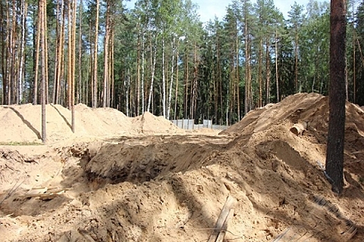 Лесу у Дубравной грозит вырубка под карьер
