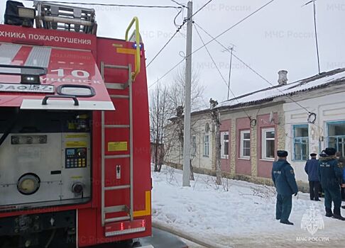 Орловские пожарные спасли людей и животных