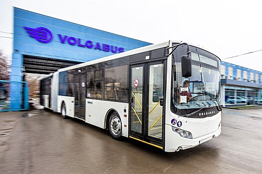 Какими видит владимирская мэрия новые городские автобусы?