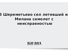 Самолет с поломкой успешно сел в Шереметьево