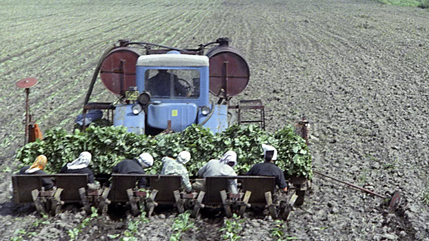 Эксперты заявили о росте интереса россиян к работе в сельском хозяйстве