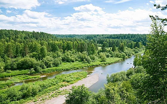 Метеоролог Алексей Пулин предупредил о резких заморозках в Свердловской области