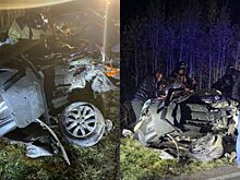 Четыре человека погибли в Омской области из-за лося