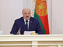 Земельные реформы: Лукашенко призвал оставить леса и сельхозугодия в госсобственности