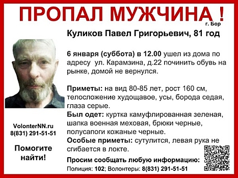 81-летний Павел Куликов разыскивается в Нижегородской области