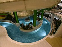 Бизнесмен из Новосибирска выкупил долг основателя аквапарка за 25 миллионов