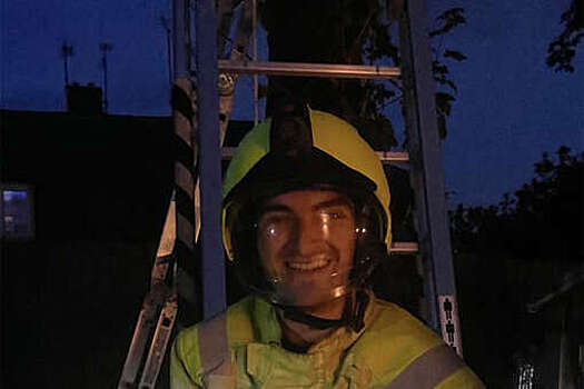 UPI: в Англии пожарные спасли застрявшую на дереве ящерицу