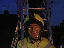 UPI: в Англии пожарные спасли застрявшую на дереве ящерицу