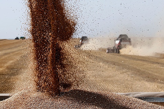 Что даст российским экспортерам продление зерновой сделки на 60 дней