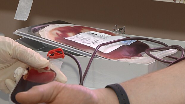 Почти три десятка человек сдали кровь в День донора в Ноябрьске