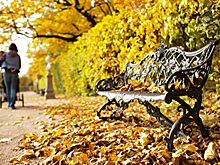 Москвичам пообещали теплую и сухую осень