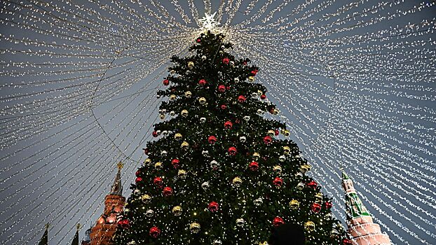 Москвичи выберут пункты приема новогодних елок