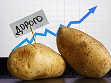 Патрушев заявил об остановке роста цен на картофель