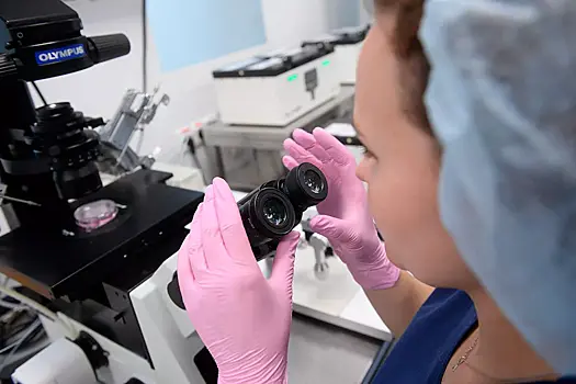 Японская компания останется в России несмотря на санкции