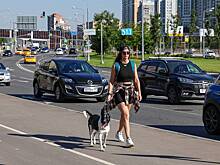 Москвичам предсказали аномально жаркое лето