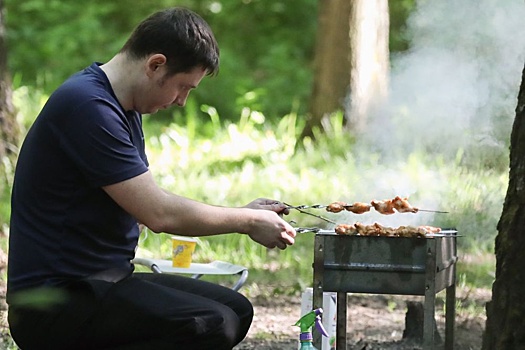 В МЧС рассказали, в каких случаях нельзя жарить шашлыки на даче