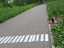 Пешеходный переход для ежей появился в подмосковском парке
