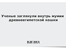 Ученые заглянули внутрь мумии древнеегипетской кошки