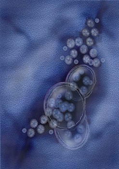 В России оценили угрозу пандемии из-за птичьего гриппа