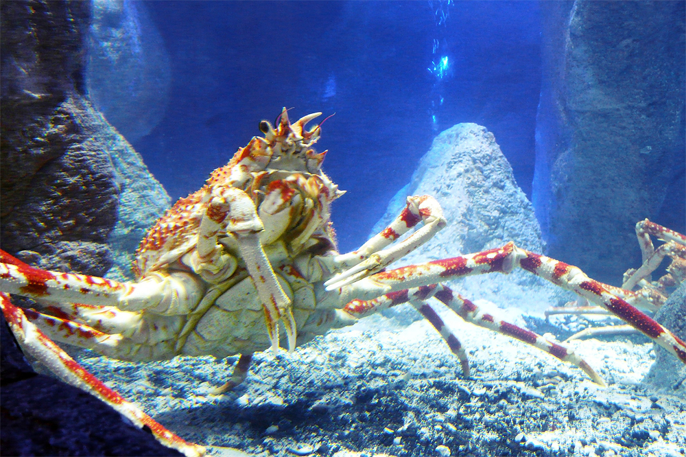 Дом моря, Вена, Австрия, Европа