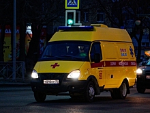 Пятьдесят санитарных автомобилей получили медики Новосибирской области