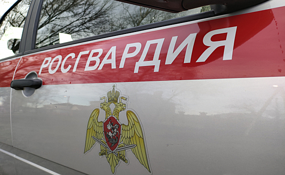 В Курске росгвардейцы помогли пострадавшему в ДТП