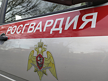 В Курске росгвардейцы помогли пострадавшему в ДТП