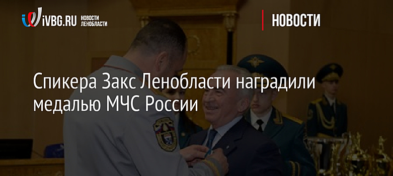 Спикера Закс Ленобласти наградили медалью МЧС России